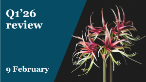 Q1 26 review 9 Feb 2026.png